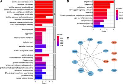 Diagnostic and prognostic value of autophagy-related key genes in sepsis and potential correlation with immune cell signatures